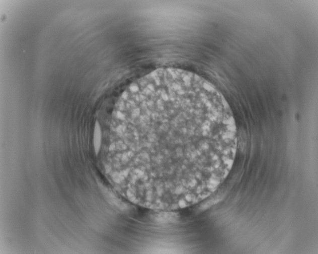 X0000088230670200706121857