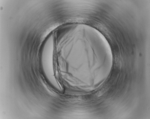 X0000088230674200706121856