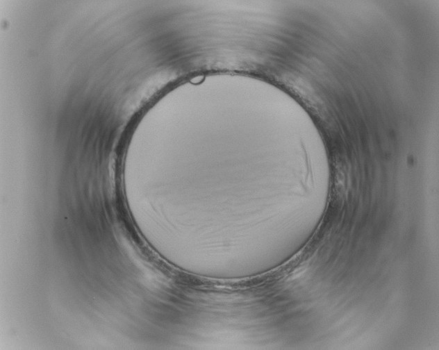 X0000088230678200706121856