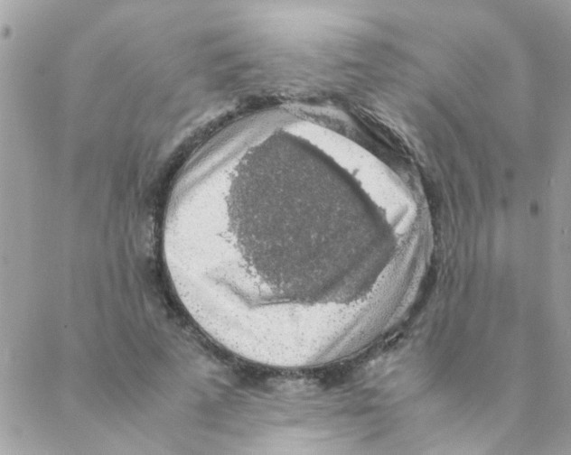 X0000088230689200706121856