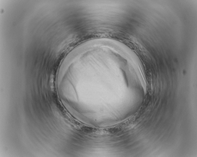 X0000088230696200706121856