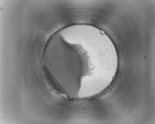 X0000088230721200706121855