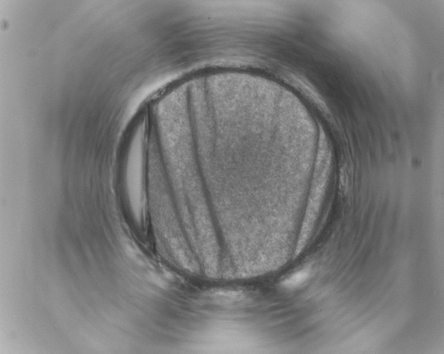 X0000088230724200706121855