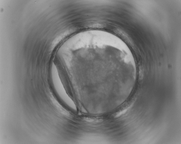 X0000088230725200706121855