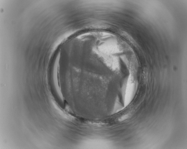 X0000088230726200706121855