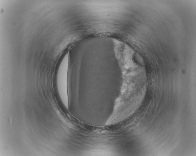 X0000088230742200706121855