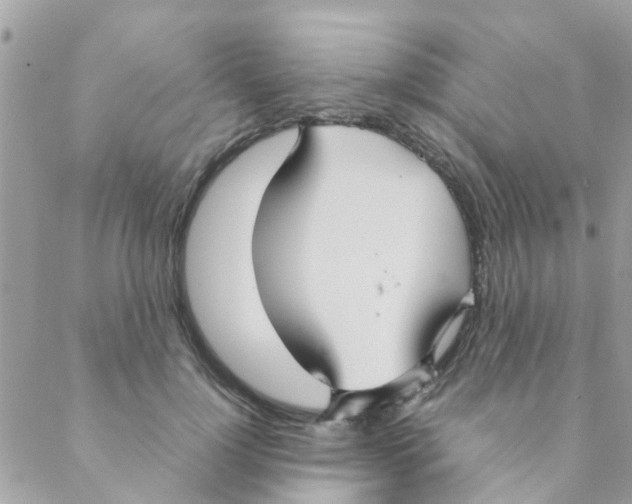 X0000088230748200706121855