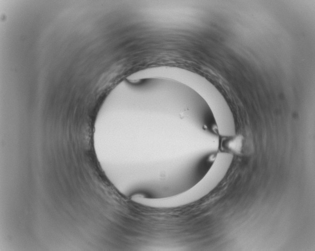 X0000088230762200706121856