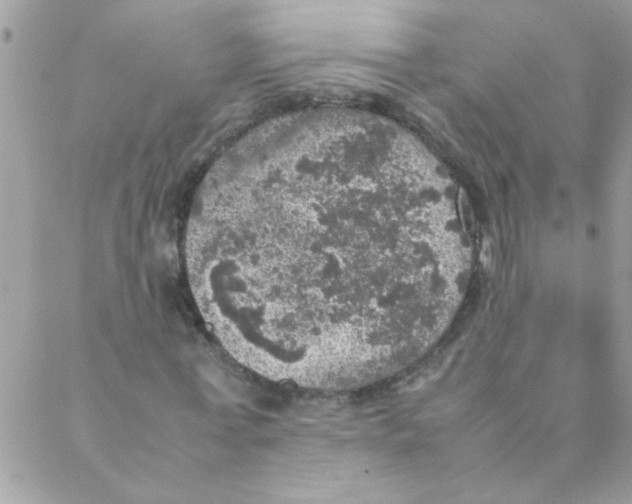 X0000088230771200706121855