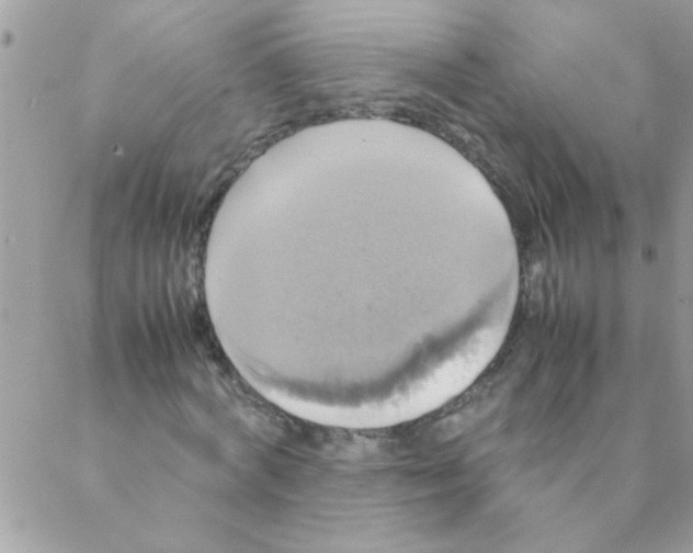 X0000088230772200706121855