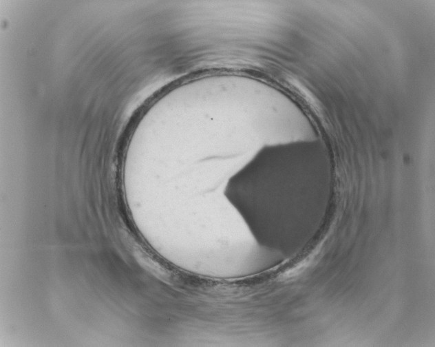 X0000088230779200706121855