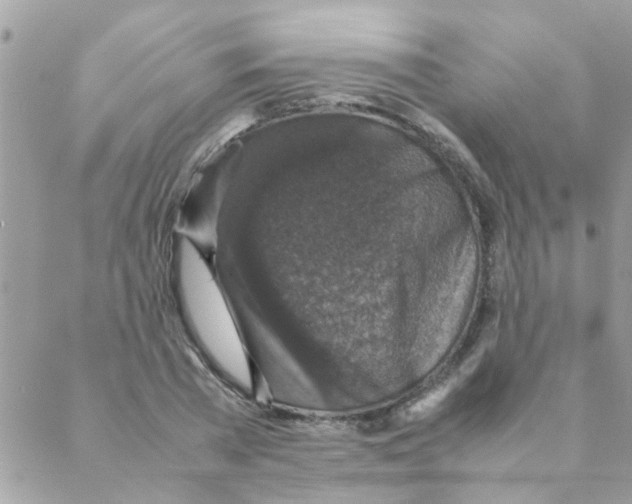 X0000088230785200706121855