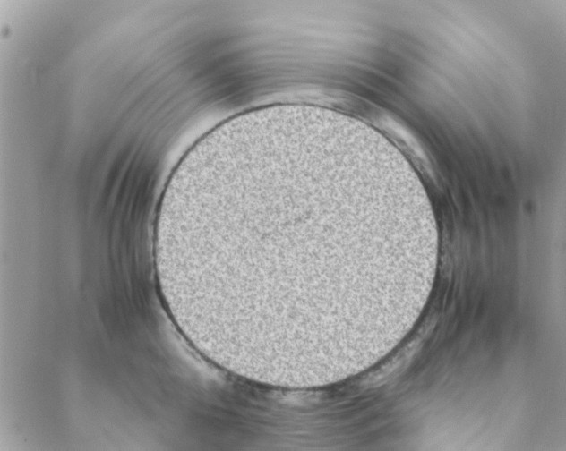 X0000088230808200706121854