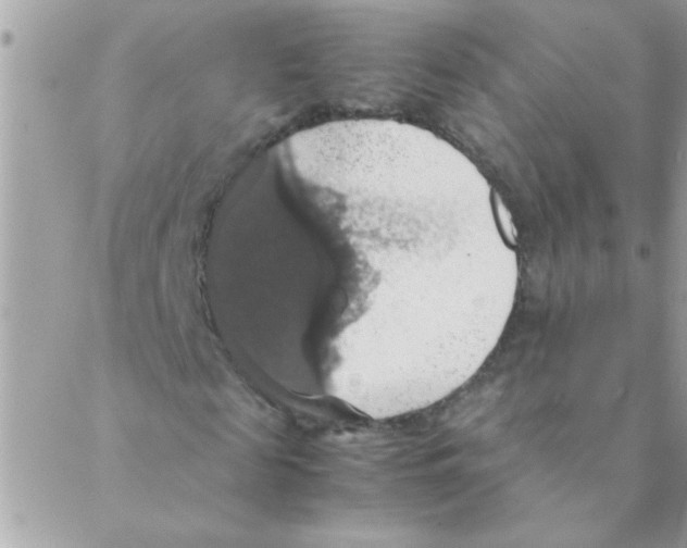 X0000088230817200706121853