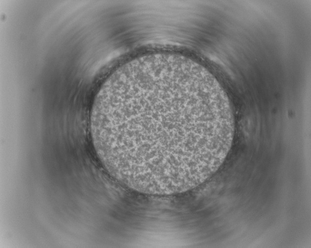 X0000088230870200706121853