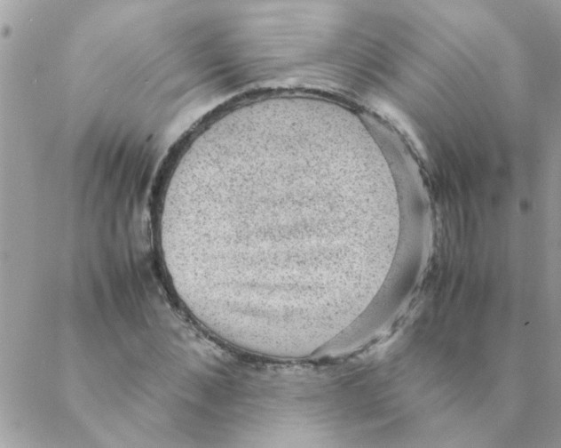 X0000088230876200706121853