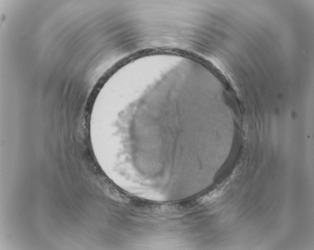 X0000088230879200706121853