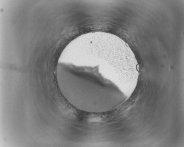 X0000088230913200706121852