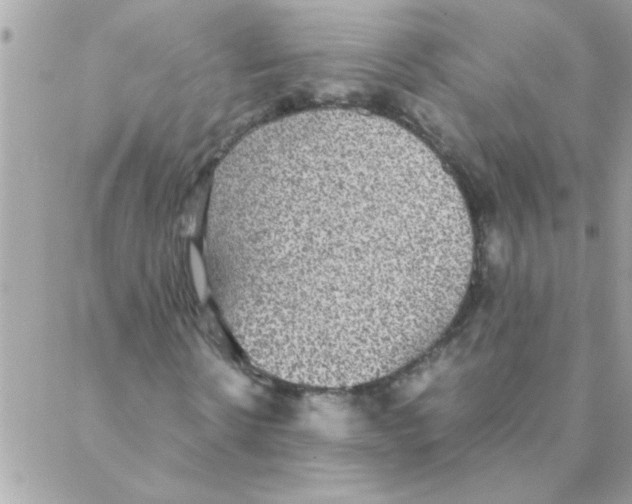 X0000088230914200706121852
