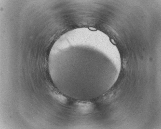 X0000088230915200706121852