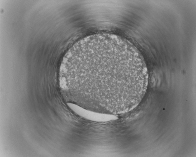 X0000088230916200706121852