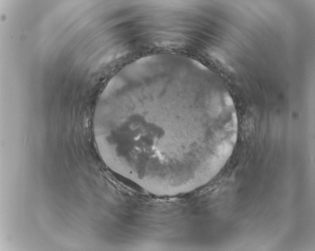 X0000088230917200706121852