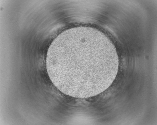 X0000088230918200706121852