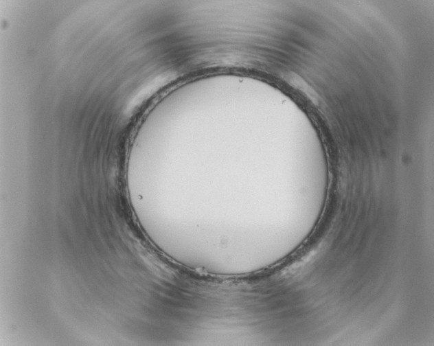 X0000088230922200706121852