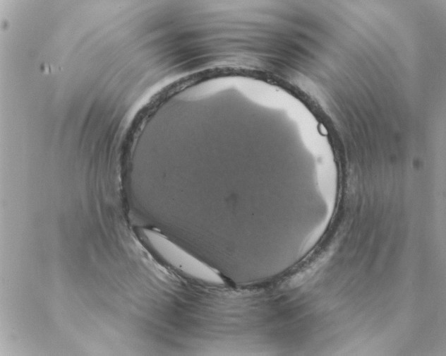 X0000088230923200706121852