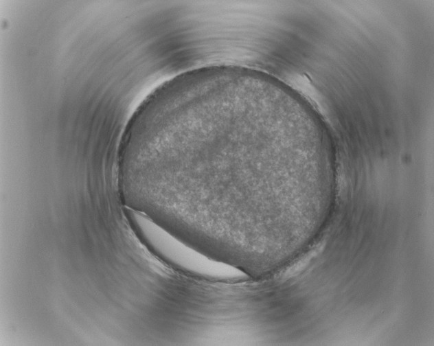 X0000088230924200706121852