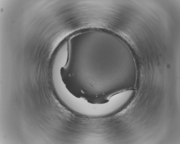 X0000088230926200706121852