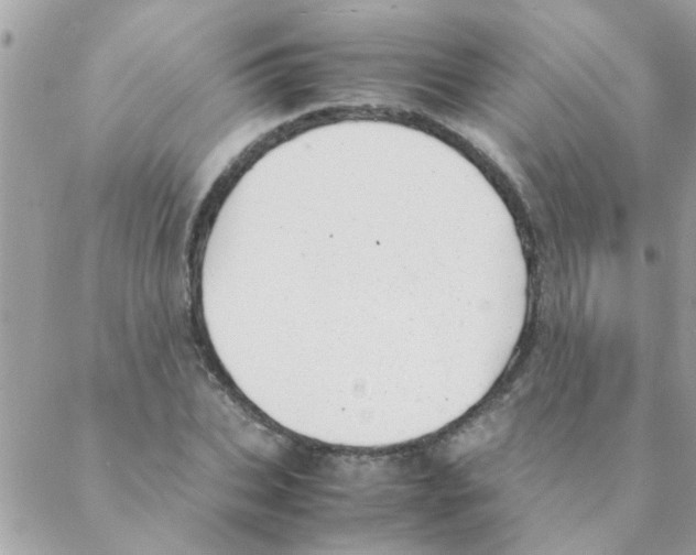 X0000088230927200706121852