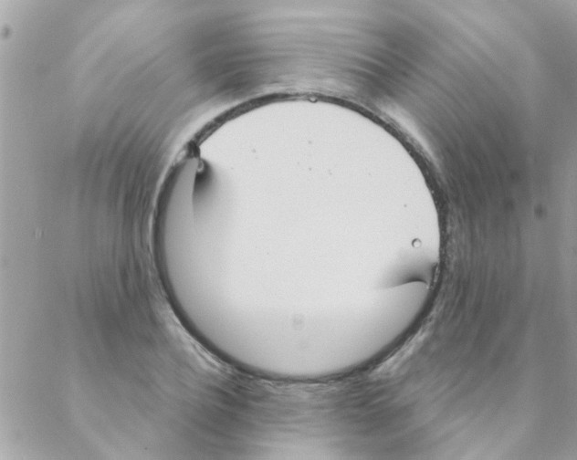 X0000088230932200706121852