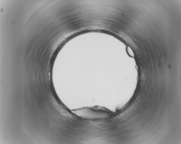 X0000088230934200706121852