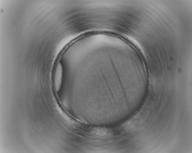 X0000088230935200706121852