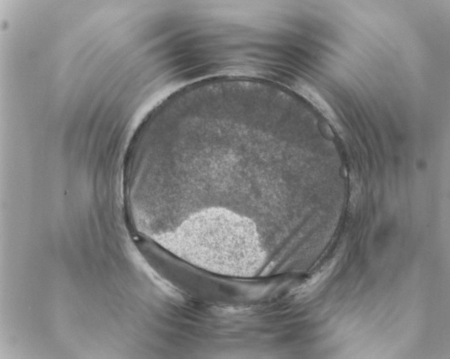 X0000088230939200706121852