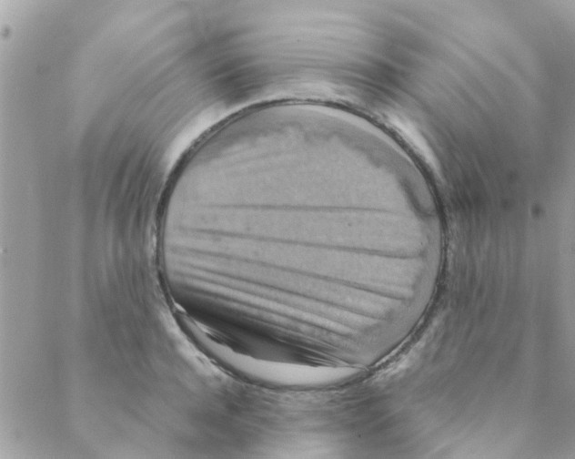 X0000088230944200706121852