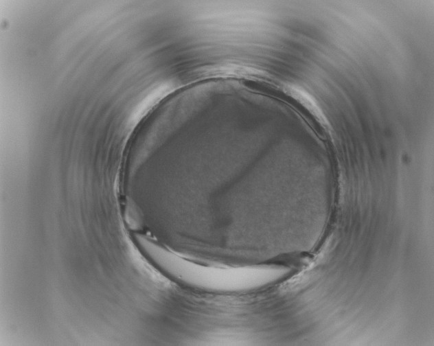 X0000088230946200706121852