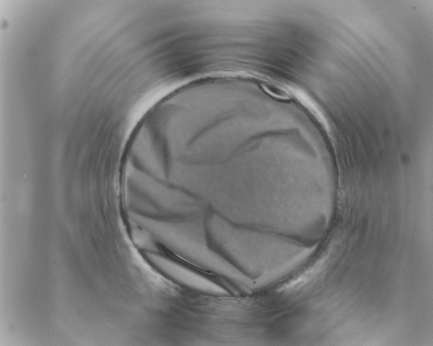 X0000088230951200706121852