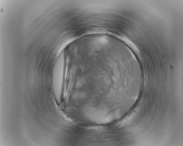 X0000088230953200706121852