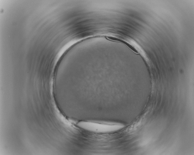 X0000088230955200706121852