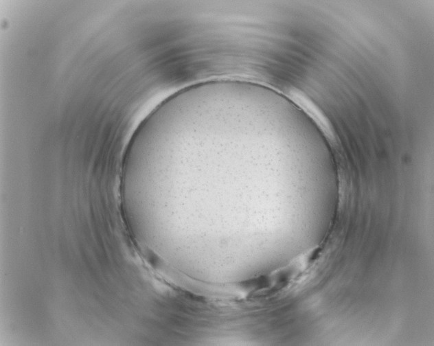 X0000088230956200706121852