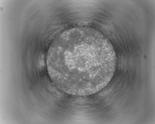 X0000088230962200706121852