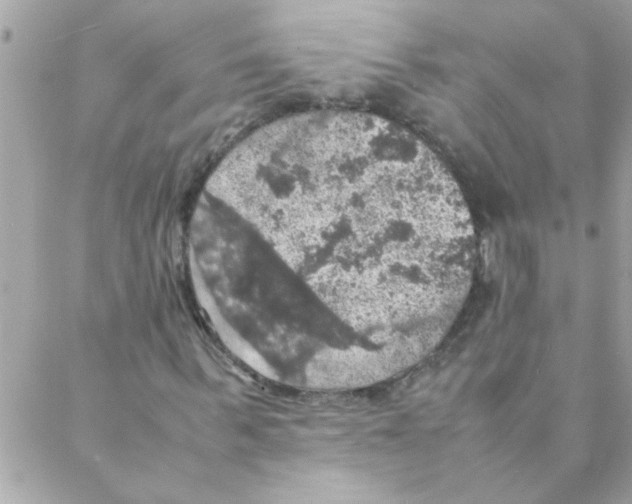 X0000088230963200706121852