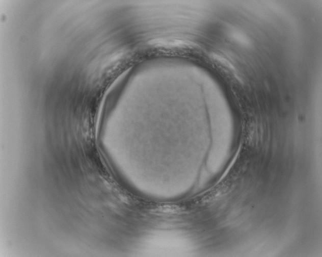 X0000088230966200706121852