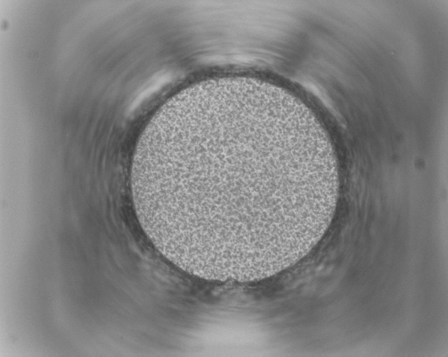 X0000088230967200706121852