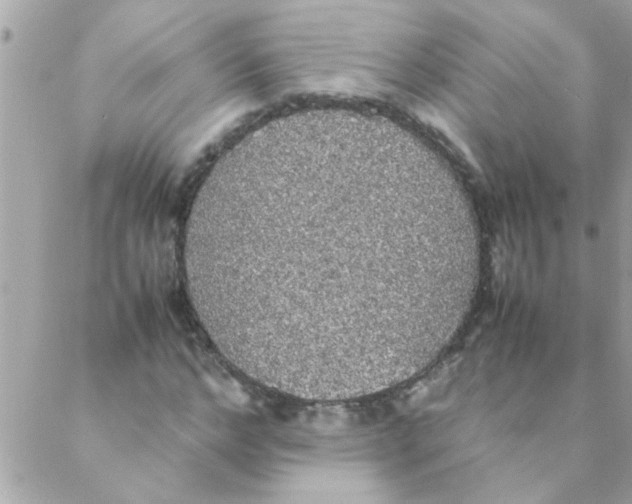 X0000088230968200706121852