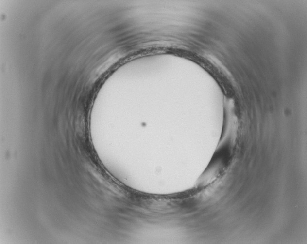 X0000088230969200706121852