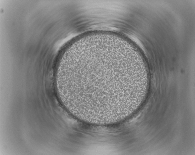 X0000088230971200706121852