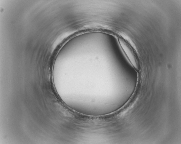 X0000088230973200706121852